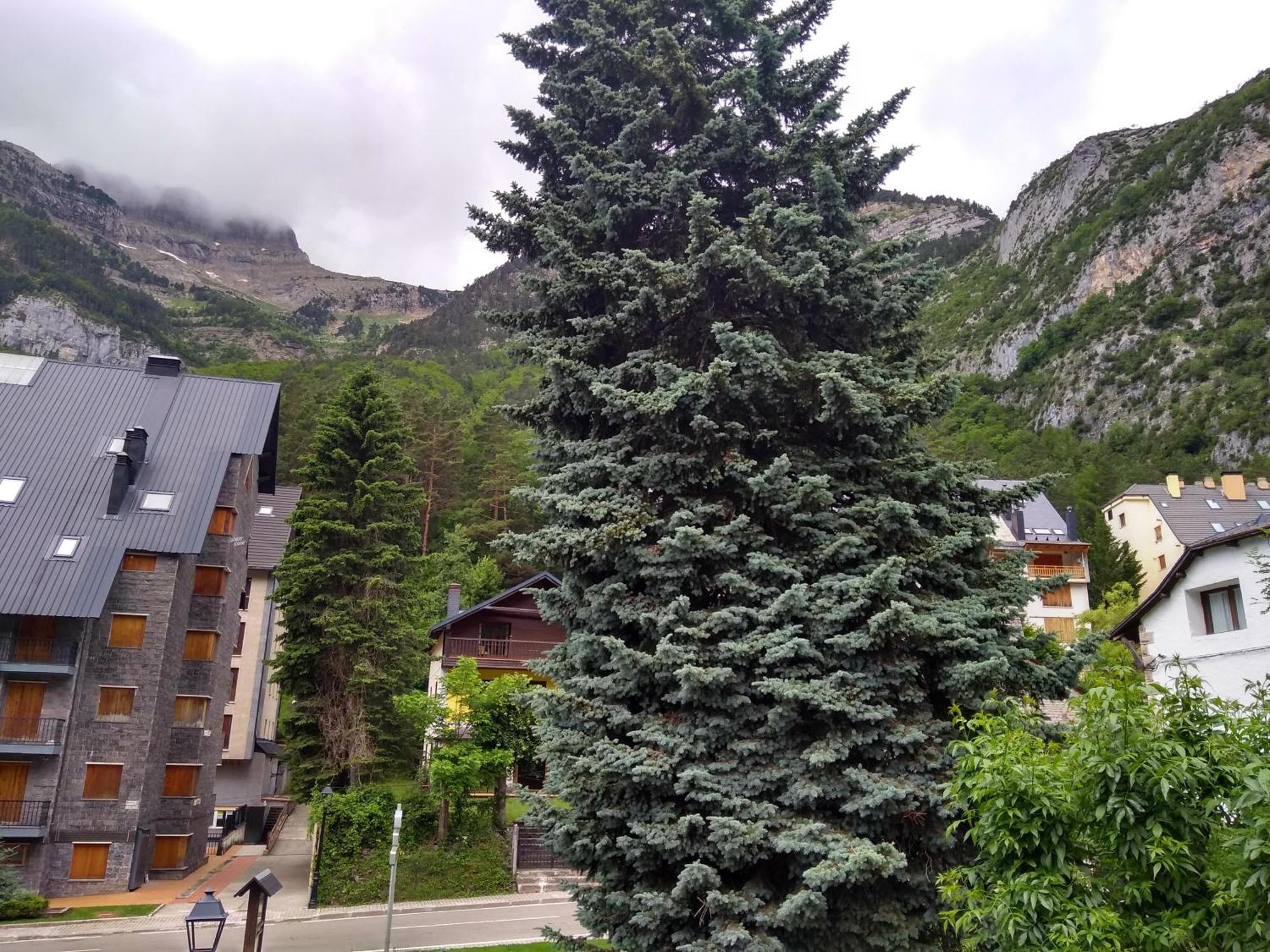 Apartmán Arce - INMOPREMIUM TURÍSTICO Canfranc Exteriér fotografie
